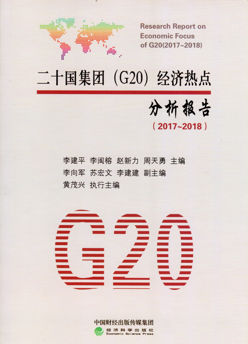 插我骚逼视频二十国集团（G20）经济热点分析报告（2017-2018）